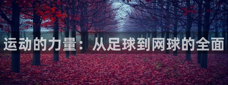 JJB竞技宝官网下载招商电话号码查询:运动的力量:从足球到网