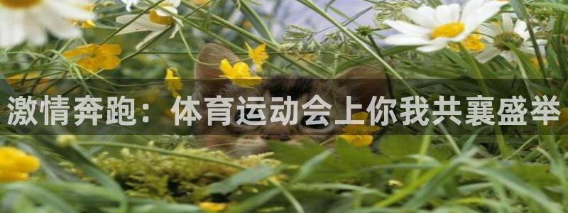JJB竞技宝官方正版app集团官网首页:激情奔跑:体育运动会